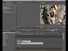 Adobe Premiere: Professionelle Software für Videoschnitt