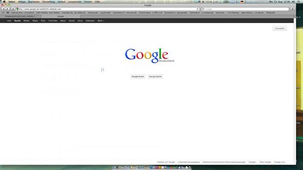 Und so sieht die Startseite aus - (Google, Safari, Eingabefeld)