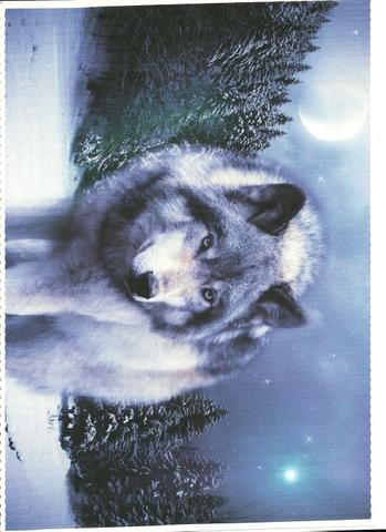 Zackiges schiefes Bild - (Scanner, schief und zackig)