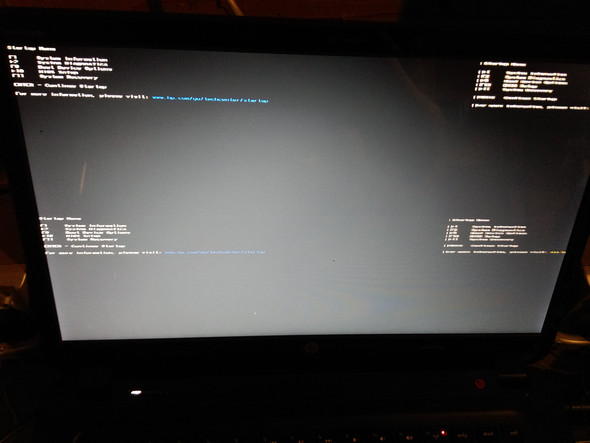 Da sieht man das "ESC Menü" von der System Firmware - (Computer, software, Laptop)