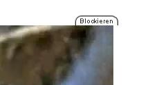 - (Mozilla Firefox, Flash, Blockieren)